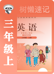 树懒速记-小学-北师大版一年级起点-三年级（上）