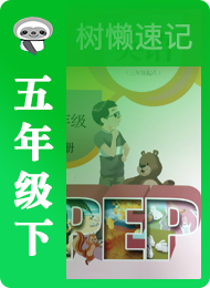 树懒速记-小学-五年级（下）